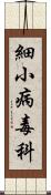 細小病毒科 Scroll