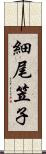 細尾笠子 Scroll