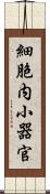 細胞内小器官 Scroll