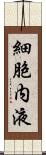 細胞内液 Scroll