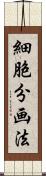 細胞分画法 Scroll