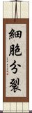 細胞分裂 Scroll