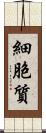 細胞質 Scroll