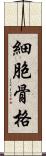 細胞骨格 Scroll