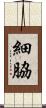 細脇 Scroll