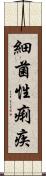 細菌性痢疾 Scroll