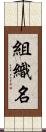 組織名 Scroll