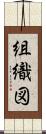 組織図 Scroll