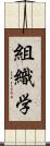 組織学 Scroll