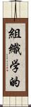 組織学的 Scroll