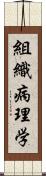 組織病理学 Scroll