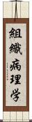 組織病理学 Scroll