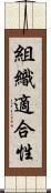組織適合性 Scroll