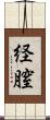 経膣 Scroll