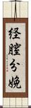 経膣分娩 Scroll