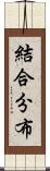 結合分布 Scroll