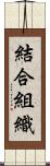 結合組織 Scroll