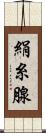 絹糸腺 Scroll
