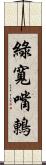 綠寬嘴鶇 Scroll