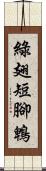 綠翅短腳鵯 Scroll