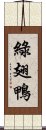 綠翅鴨 Scroll