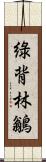 綠背林鶲 Scroll