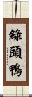 綠頭鴨 Scroll