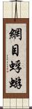 網目蜉蝣 Scroll