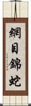 網目錦蛇 Scroll