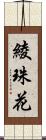 綾珠花 Scroll