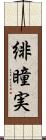 緋瞳実 Scroll