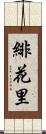 緋花里 Scroll
