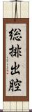 総排出腔 Scroll
