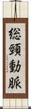 総頸動脈 Scroll