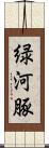 緑河豚 Scroll