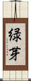 緑芽 Scroll