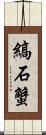 縞石蟹 Scroll