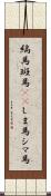 縞馬 Scroll