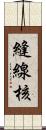 縫線核 Scroll