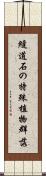 縫道石の特殊植物群落 Scroll