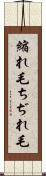 縮れ毛 Scroll