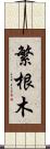 繁根木 Scroll