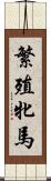 繁殖牝馬 Scroll