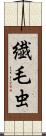 繊毛虫 Scroll