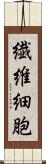 繊維細胞 Scroll