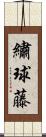 繡球藤 Scroll