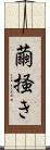 繭掻き Scroll