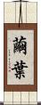 繭葉 Scroll