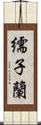 繻子蘭 Scroll