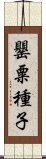 罌粟種子 Scroll